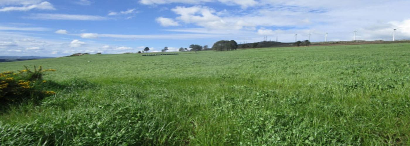 ... después se carga la composición química de la pradera en pastoreo ...