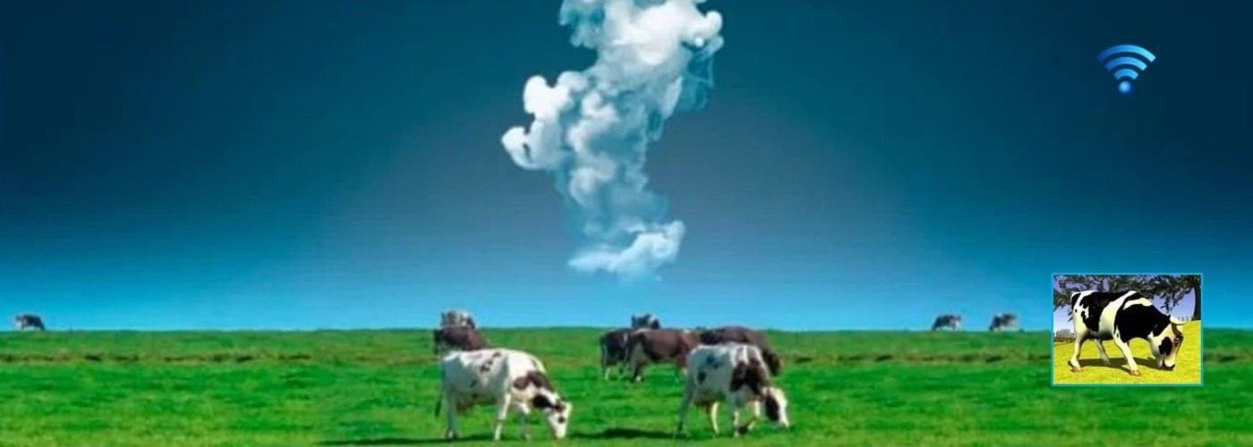 Manipular la dieta permite reducir la contaminación ambiental y GEI.